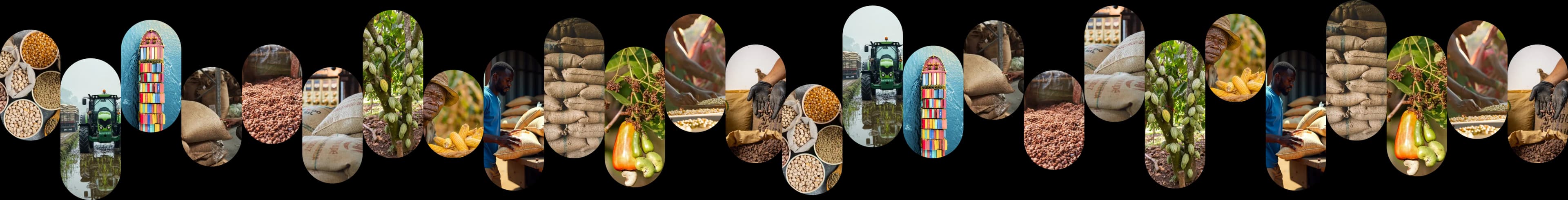 Agricultural products gallery